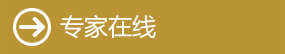 专家在线